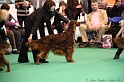 Crufts2011_2 058